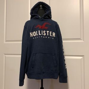 Relaxed Pullover Hollister Logo Hoodie